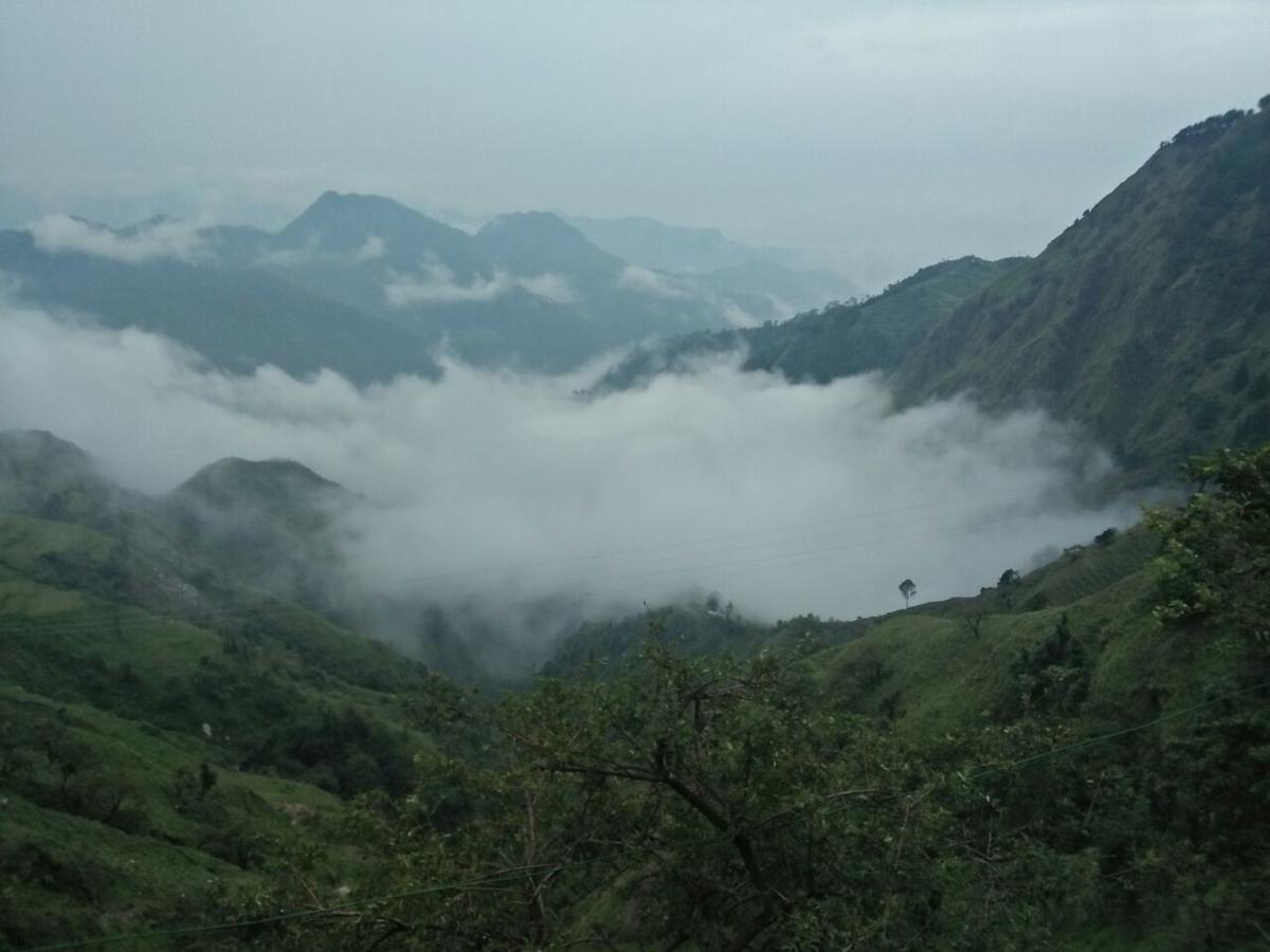 Oyo 11877 Royal Residency Hotel New Tehri Værelse billede