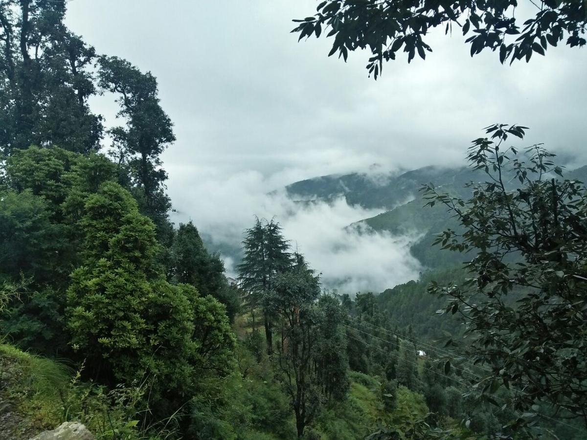 Oyo 11877 Royal Residency Hotel New Tehri Værelse billede