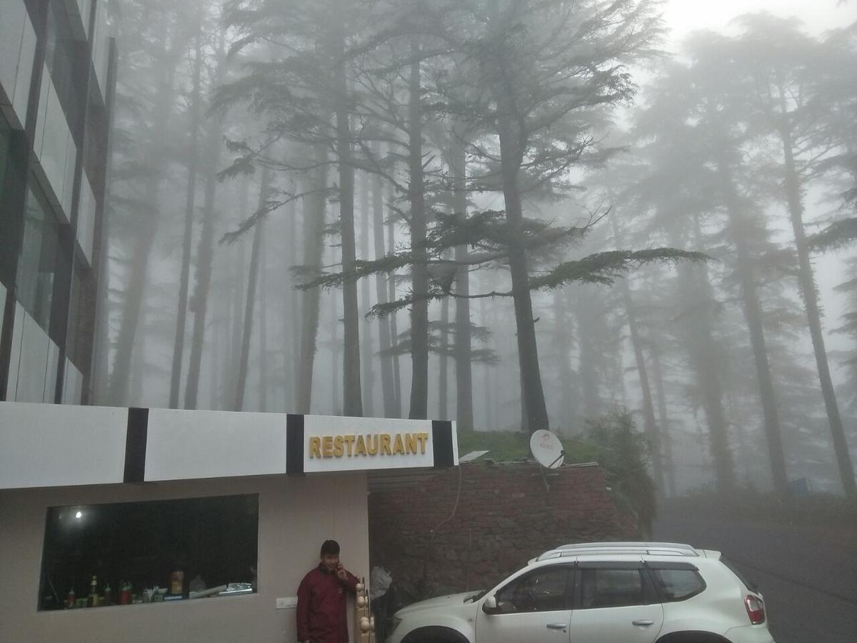 Oyo 11877 Royal Residency Hotel New Tehri Værelse billede